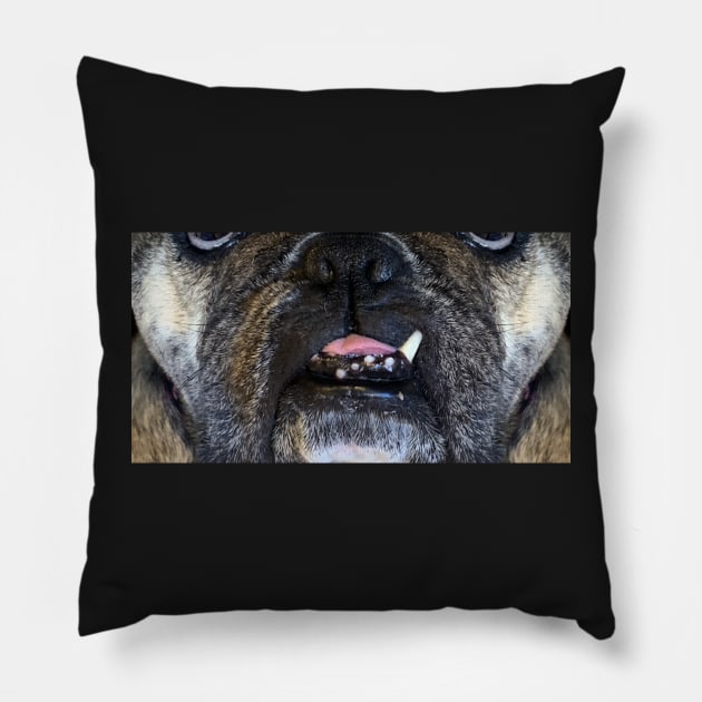 Killer Masks - Rosie The Bulldog-One Tooth Pillow by intofx