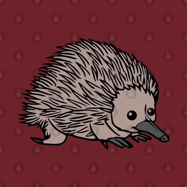 Echidna by KayBee Gift Shop