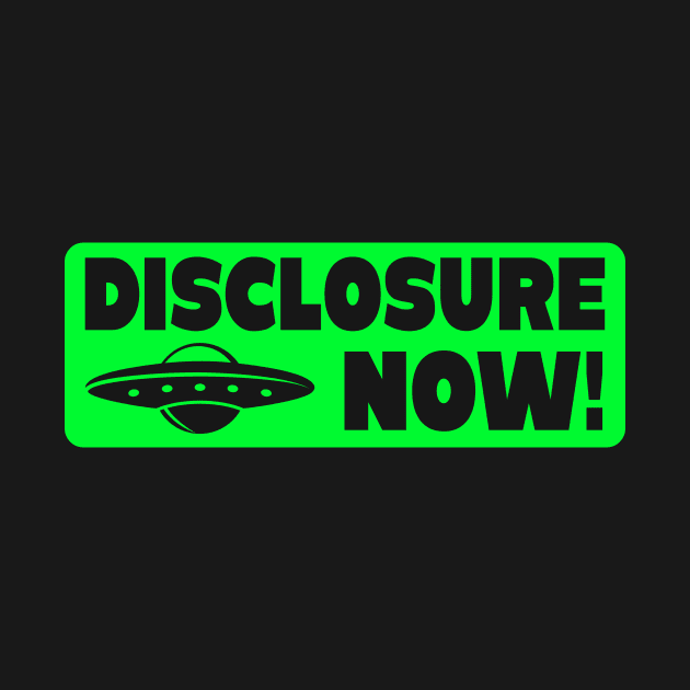 Disclosure Now Alien UFO Believer by Foxxy Merch