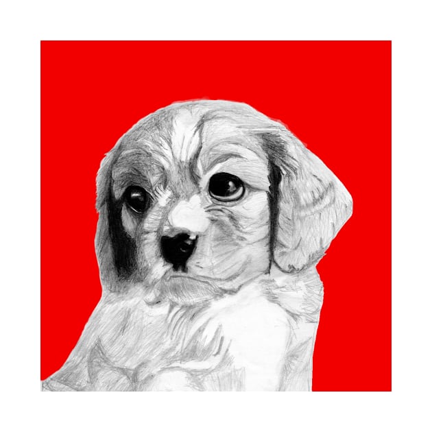 Cavalier King Charles Spaniel Puppy in Red by DavidASmith