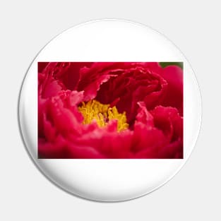 Inside a Red Peony Pin