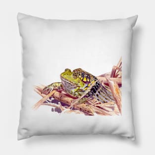 Grass Snake eating Edible Frog Pillow