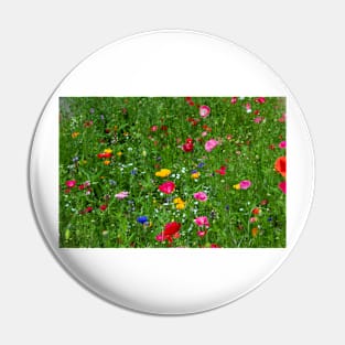 Wild flower garden Pin