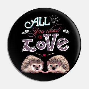 Hedgehog in love, lovers couple cute Pin