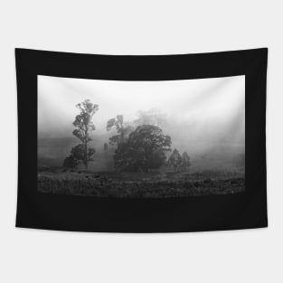 Foggy Morning II Tapestry