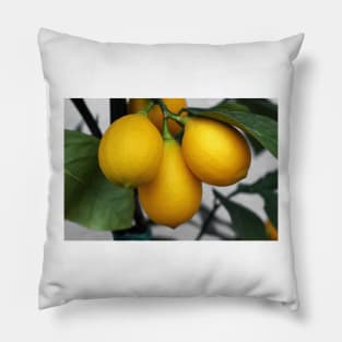 Lemons Pillow