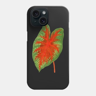 Caladium Postman Joyner - botanical illustration Phone Case