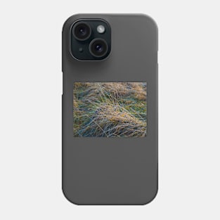 Rainbow grass Phone Case