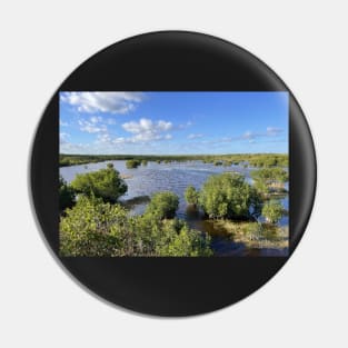 Florida Everglades Pin