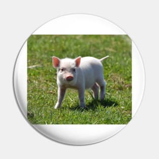 Piggy Pin