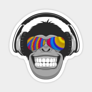 Monkey DJ Magnet