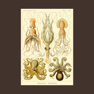 Squid and Octopus Gamochonia by Ernst Haeckel T-Shirt