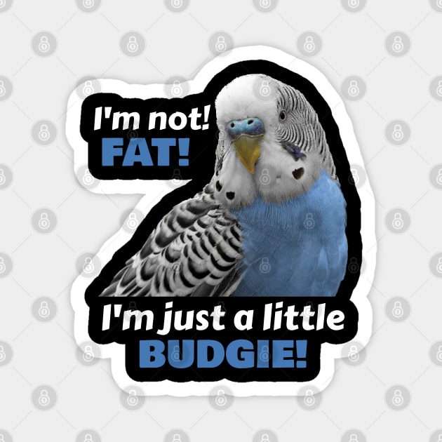 Fat Budgie Blue Parakeet Parrot Magnet by Einstein Parrot