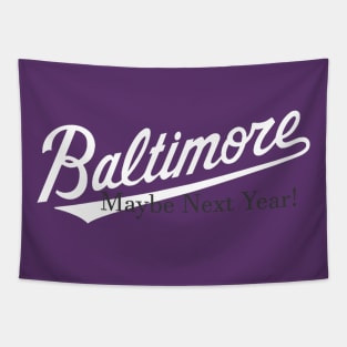 Baltimore Baseball Tapestry