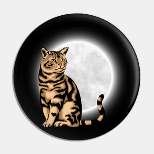 Flight me to the moon cat Pin