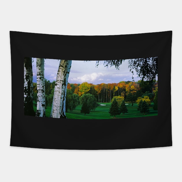 Sodus Bay Heights Golf Club Tapestry by wolftinz