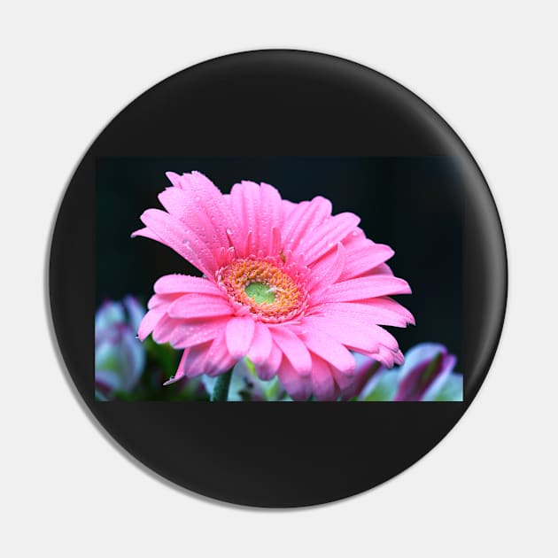 Flower series Pin by ikshvaku