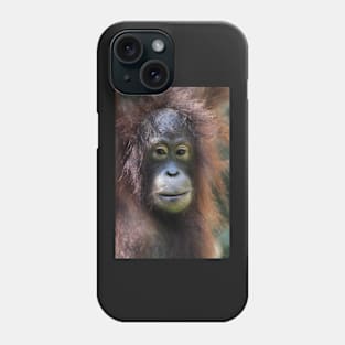 Portrait: Female Orangutan Phone Case