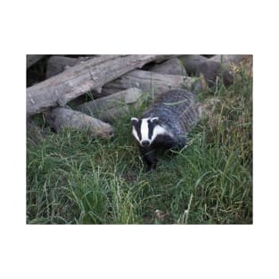 Badger leaving its sett T-Shirt