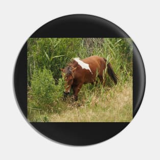 Assateague Pony in the Brush Pin