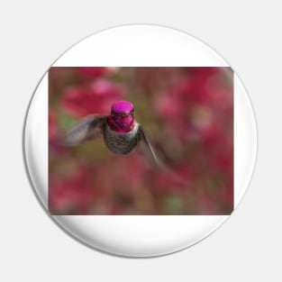 Anna's Hummingbird Portrait Pin