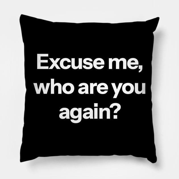 Excuse me, who are you again? Pillow by Aome Art