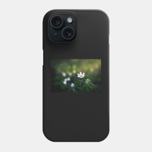 Anemone nemorosa flower in the forest Phone Case