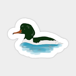 Duck Magnet