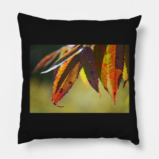 Nature's points of view Pillow