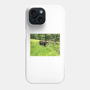 Scottish Highland Cattle Bull 2430 Phone Case