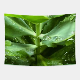 Soothing green water freshness Tapestry