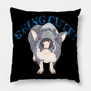 POT BELLIED PIG BEING CUTE Pillow