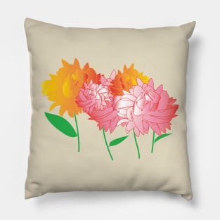 Spring Pillow