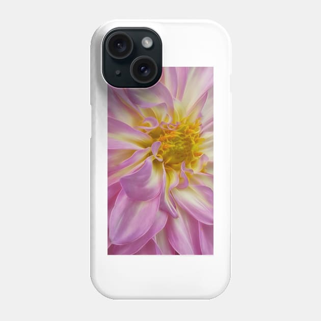 closeup macro photography of dahlia bloom in shades of pink and white coloured Phone Case by mister-john