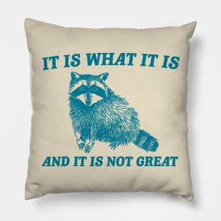 It Is What It Is And It Is Not Great Funny Raccoon Pillow