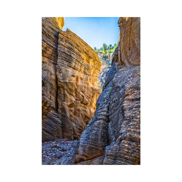 Lick Wash Trail Hike by Gestalt Imagery