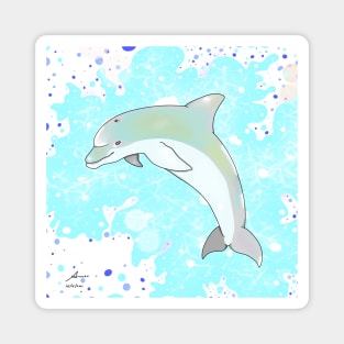 Dolphin Magnet