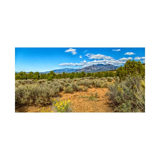 Kit Carson National Forest by Gestalt Imagery