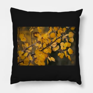 Fall Aspen Leaves 2 Pillow