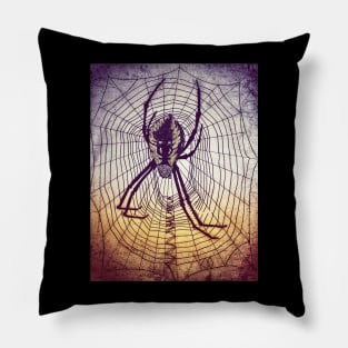 Spider Web in grunge Pillow