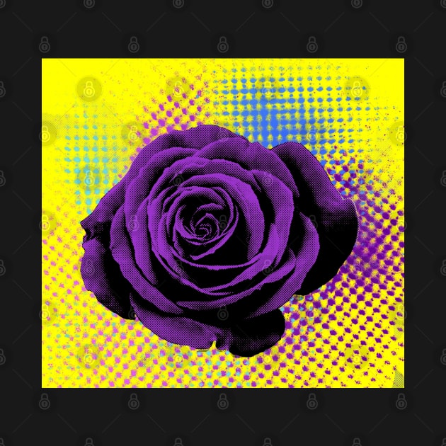 Pop art, rose violet, yellow by NYWA-ART-PROJECT