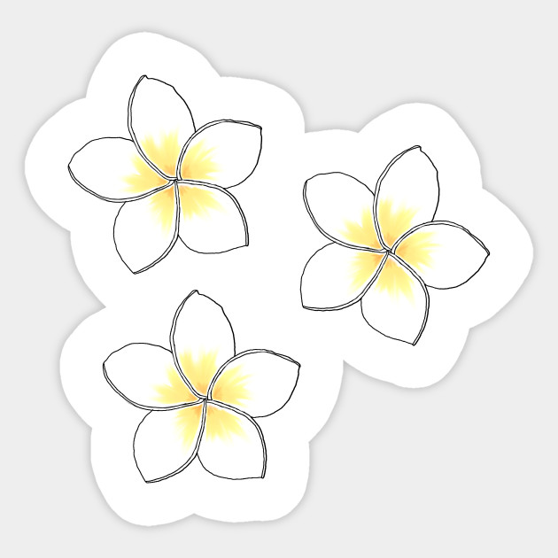 Plumeria Plumeria Sticker Teepublic Au,Dragon Laying Down Dragon Pose Reference