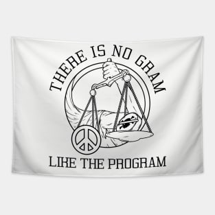 NA There Is NO GRAM Like The Program  - Narcotics Anonymous - Sobriety and Recovery Tapestry