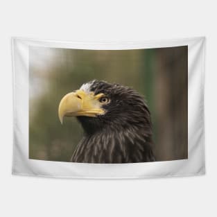 Stellers Sea Eagle Tapestry