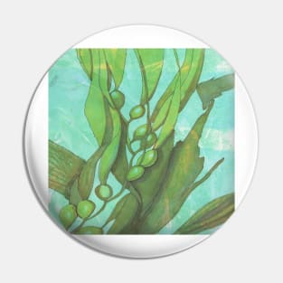 Kelp, seaweed floating underwater. Pin