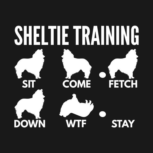 Disover Shetland Sheepdog Training Sheltie Dog Tricks - Shetland Sheepdog - T-Shirt