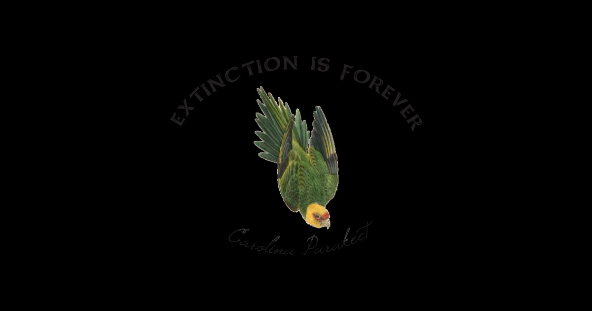 Extinction Is Forever Carolina Parakeet Extinct T Shirt Teepublic