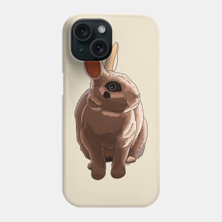 Dwarf Hotot Rabbit Phone Case