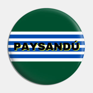 Paysandú City in Uruguay Flag Stripes Pin