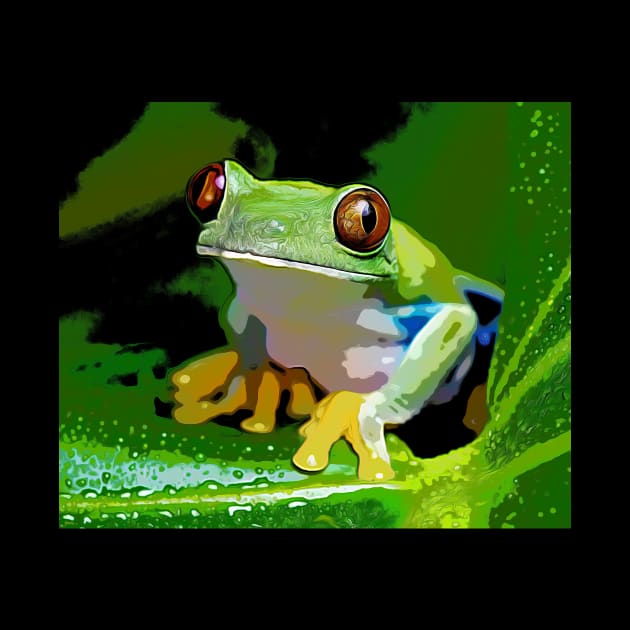 Amazon Frog by SouthAmericaLive